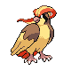 Pidgeot